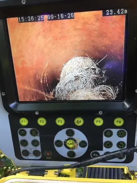 Liphook, CCTV drain survey footage showing tree root intrusion inside a pipe